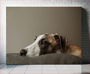 Πίνακας, Resting Dog Σκύλος που ξεκουράζεται