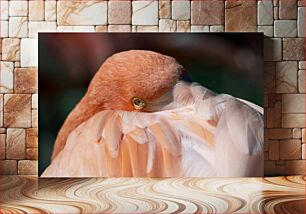 Πίνακας, Resting Flamingo Αναπαυόμενο Flamingo