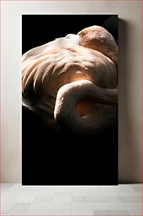 Πίνακας, Resting Flamingo Φλαμίνγκο ξεκούρασης