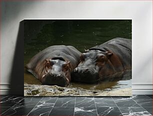 Πίνακας, Resting Hippos Ιπποπόταμοι που ξεκουράζονται
