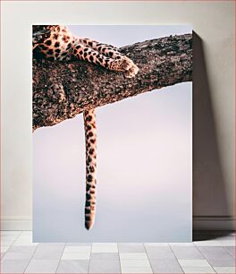 Πίνακας, Resting Leopard on Tree Αναπαύεται λεοπάρδαλη στο δέντρο