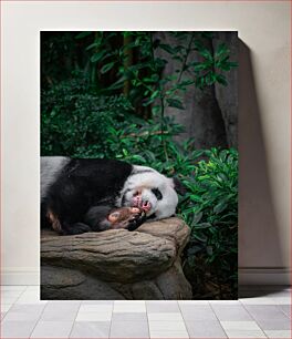 Πίνακας, Resting Panda Ξεκουράζεται Panda