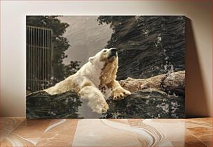 Πίνακας, Resting Polar Bear Πολική αρκούδα σε ανάπαυση