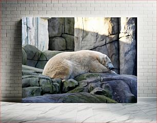 Πίνακας, Resting Polar Bear on Rocks Αναπαύεται Πολική Αρκούδα σε Βράχους