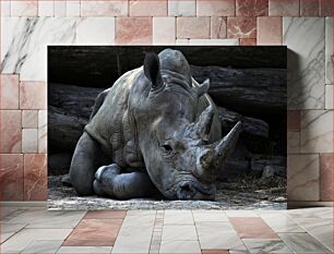 Πίνακας, Resting Rhinoceros Αναπαυόμενος Ρινόκερος
