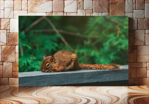 Πίνακας, Resting Squirrel Σκίουρος που ξεκουράζεται