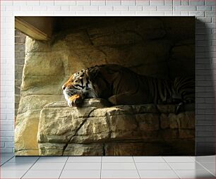 Πίνακας, Resting Tiger in the Shadows Resting Tiger in the Shadows