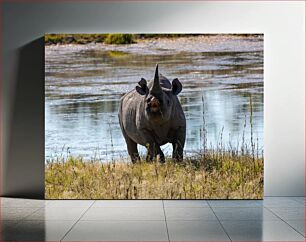 Πίνακας, Rhino by the Water Ρινόκερος δίπλα στο νερό