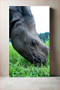 Πίνακας, Rhino Grazing Ρινόκερος Βόσκηση