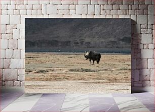 Πίνακας, Rhino in Grassland Ρινόκερος στα λιβάδια