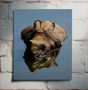 Πίνακας, Rhino in the Water Ρινόκερος στο νερό