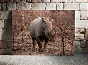 Πίνακας, Rhino in the Wild Ρινόκερος στην άγρια ​​φύση