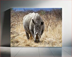 Πίνακας, Rhino in the Wild Ρινόκερος στην άγρια ​​φύση