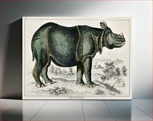 Πίνακας, Rhinoceros. A History of the Earth and Animated Nature (1820) by Oliver Goldsmith (1730-1774)