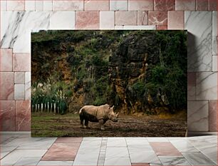 Πίνακας, Rhinoceros in Natural Habitat Ρινόκερος σε φυσικό βιότοπο