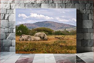 Πίνακας, Rhinos in Natural Habitat Ρινόκεροι σε φυσικό βιότοπο