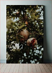 Πίνακας, Ripe Pomegranates on Tree Ώριμα ρόδια στο δέντρο
