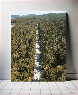 Πίνακας, Road Through the Palm Trees Road Through the Palm Trees