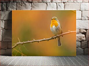 Πίνακας, Robin on Branch Robin on Branch