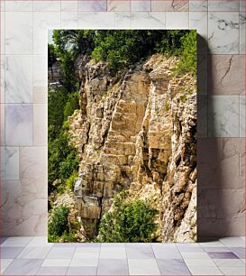 Πίνακας, Rocky Cliff with Vegetation Βραχώδης γκρεμός με βλάστηση