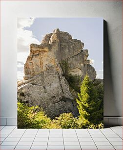 Πίνακας, Rocky Formation with Trees Βραχώδης σχηματισμός με δέντρα