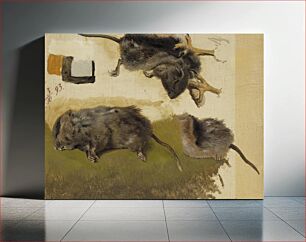 Πίνακας, Rodents, 1893, by Ferdinand von Wright