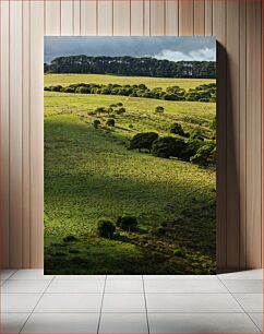 Πίνακας, Rolling Green Landscape Κυλιόμενο πράσινο τοπίο