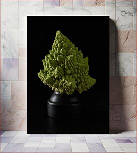 Πίνακας, Romanesco Broccoli with Dark Background Μπρόκολο Romanesco με σκούρο φόντο
