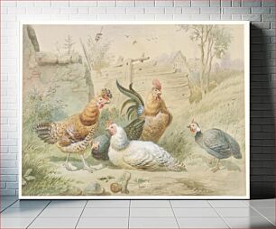 Πίνακας, Rooster and Hens