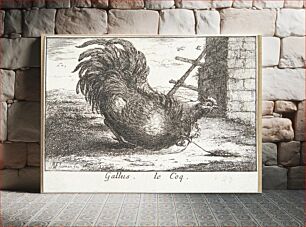 Πίνακας, Rooster (Gallus) by Albert Flamen