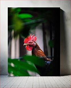 Πίνακας, Rooster in the Garden Κόκορας στον Κήπο