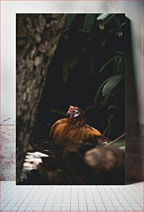 Πίνακας, Rooster in the Shadows Πετεινός στις σκιές