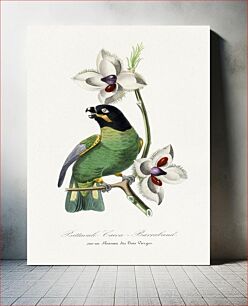Πίνακας, Rose ringed parakeet bird painting