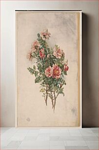 Πίνακας, Roses (1870) by L. Prang & Co