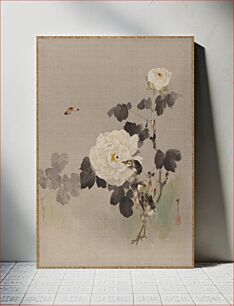 Πίνακας, Roses, Young Bird and a Butterfly by Watanabe Seitei