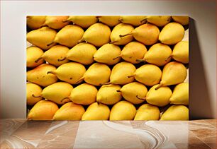 Πίνακας, Rows of Yellow Pears Σειρές κίτρινων αχλαδιών