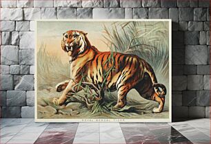 Πίνακας, Royal bengal tiger from Johnson's household book of nature (1880) by John Karst (1836-1922)