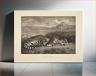 Πίνακας, Royal Tiger by Eugène Delacroix