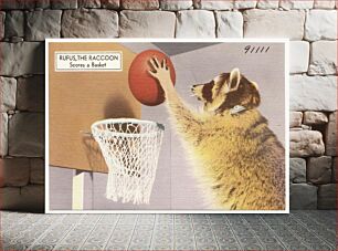 Πίνακας, Rufus the Raccoon, scores a basket