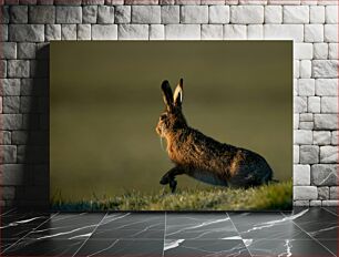 Πίνακας, Running Rabbit in Nature Τρέχοντας κουνέλι στη φύση