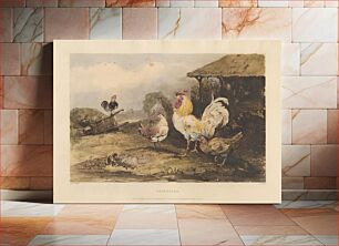 Πίνακας, Rural Chivalry; A Series in six plates of Fighting Cocks: 1. Attention