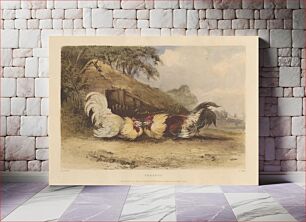 Πίνακας, Rural Chivalry; A Series in six plates of Fighting Cocks: 3. Present
