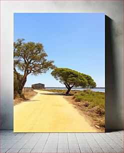 Πίνακας, Rural Road by the Lake Αγροτικός δρόμος δίπλα στη λίμνη