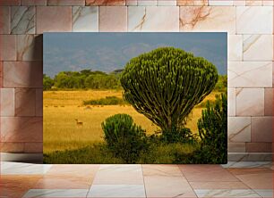 Πίνακας, Safari Scene with Deer and Cactus-like Tree Σκηνή σαφάρι με ελάφια και δέντρο που μοιάζει με κάκτο
