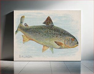 Πίνακας, Salmon, from the Fish from American Waters series (N8) for Allen & Ginter Cigarettes Brands