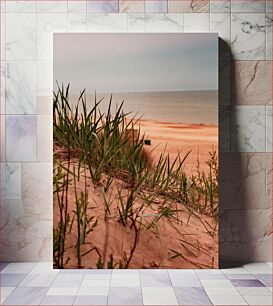 Πίνακας, Sandy Beach with Grass Αμμουδιά με γρασίδι