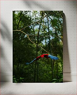 Πίνακας, Scarlet Macaw in Flight Scarlet Macaw σε πτήση