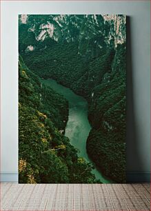 Πίνακας, Scenic River in Forested Gorge Γραφικός ποταμός στο δασικό φαράγγι