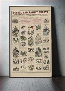 Πίνακας, School and family charts, accompanied by a manual of object lessons and elementary instruction, by Marcius Willson and N