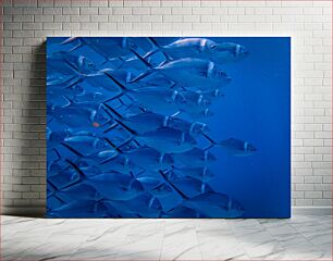 Πίνακας, School of Fish under the Sea Σχολή Ψαριών κάτω από τη Θάλασσα